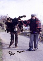 /album/quelli-di-sempre/asinello-al-ponte-jpg1/